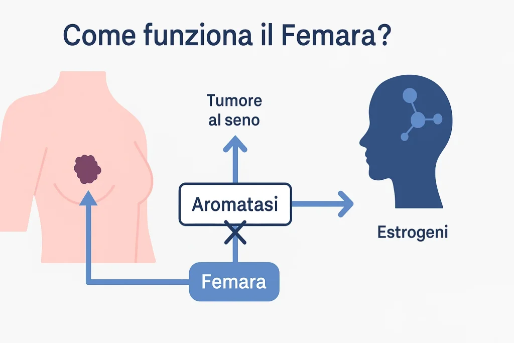 Come funziona il Femara