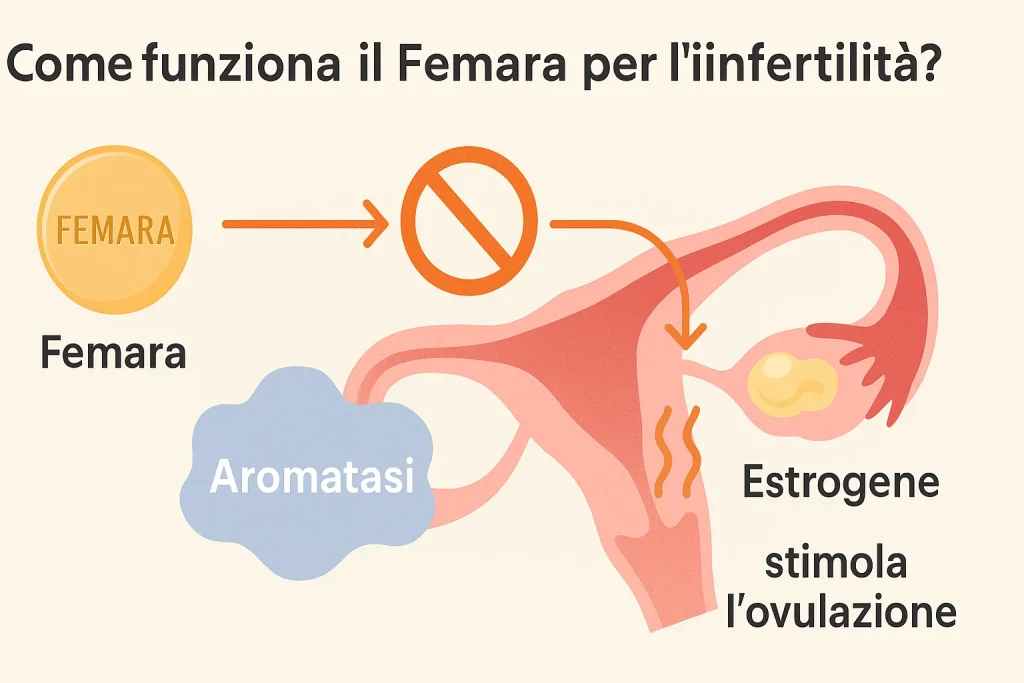 Come funziona il Femara per l'infertilità