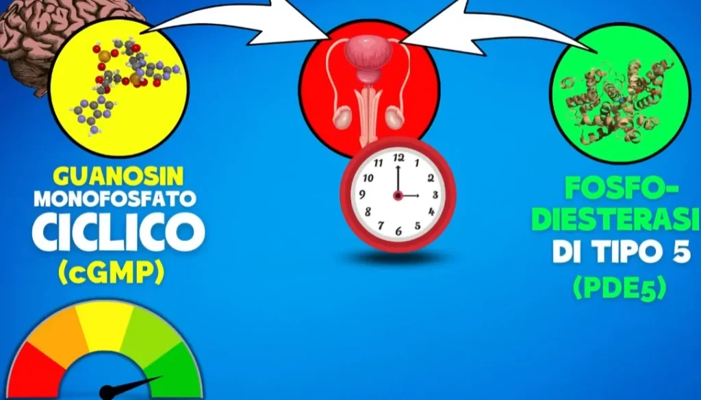 Come funziona il Viagra Generico